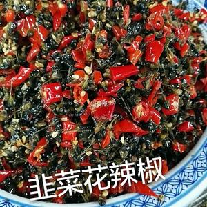 云南特色干巴菌韭菜花酸辣椒800g一瓶小米辣手工剁下饭包邮