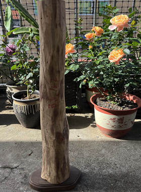 笔筒海南海南黄花梨黄花梨