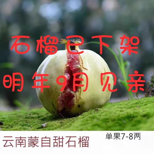 蒙自石榴老品种薄皮多汁