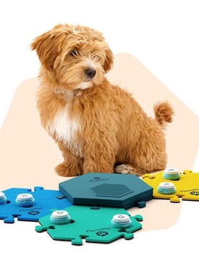 FluentPet Connect 新款宠物智能交流沟通按钮 音箱模块 手机消息