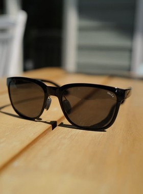 ShinzoTamuraNamba偏光镜片太