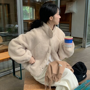 韩国chic复古休闲慵懒风保暖立领单排扣小个子羊羔毛外套女