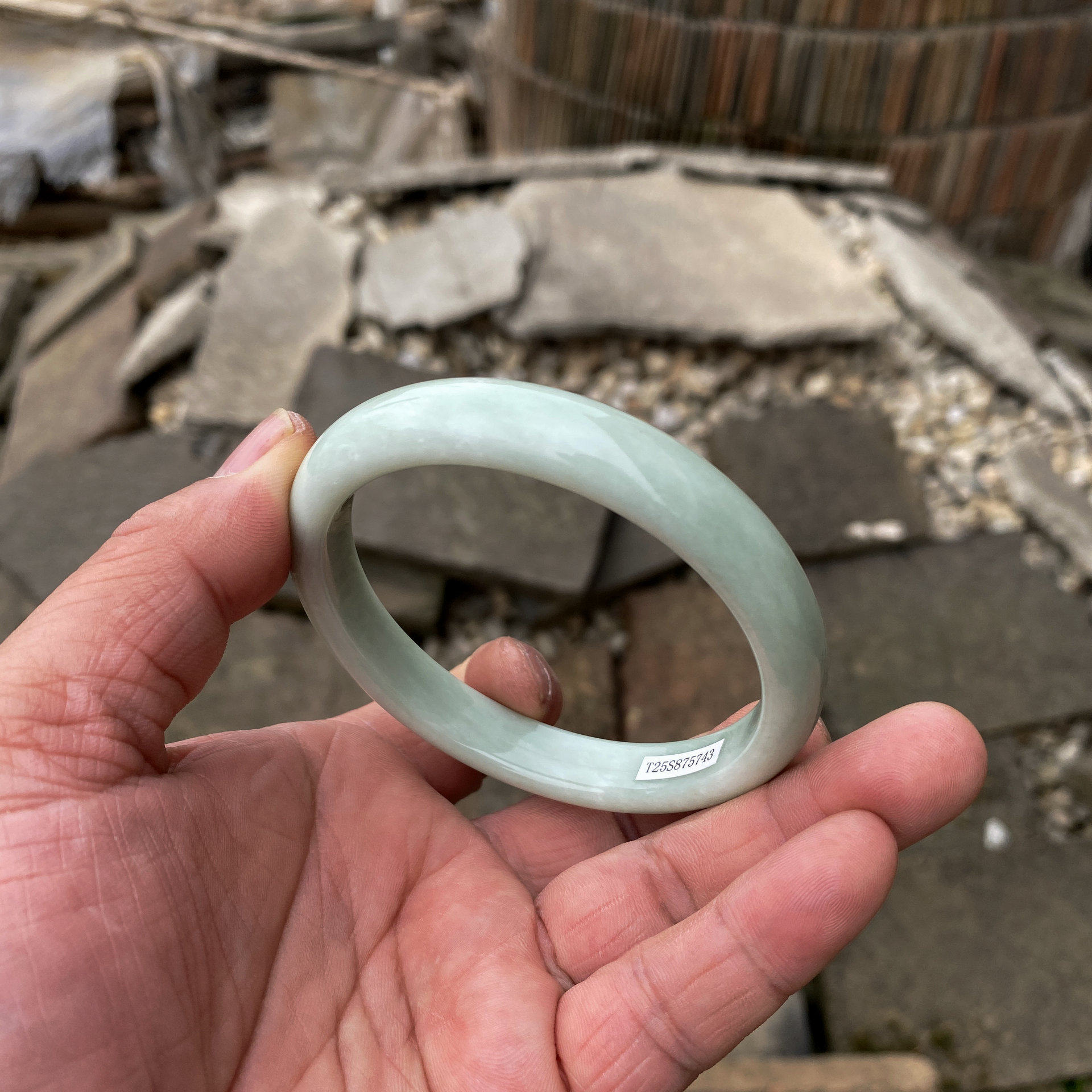 天然正品陕西蓝田玉手镯56mm内径女款浅绿色玉心料正圈玉镯带证书