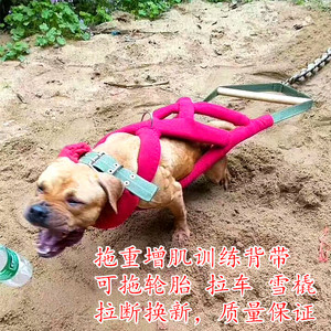 比特犬拖重背带训练负重用品狗拉车拖铁链胸背大型猛犬拖车胸背带
