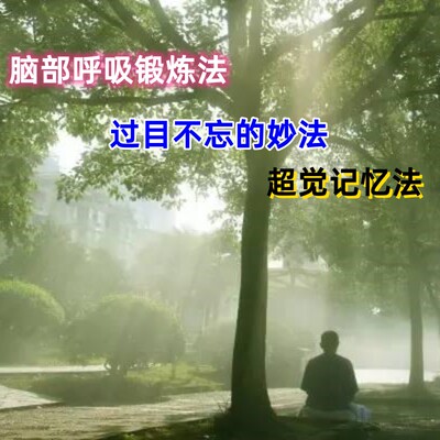 记忆力脑部呼吸锻炼改造大脑过目不忘修炼记忆法养生记忆训练方法
