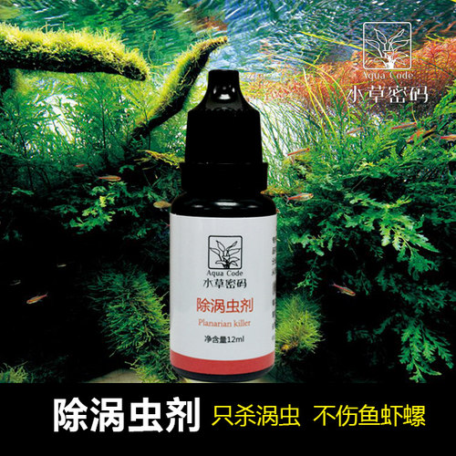 涡虫药价格 涡虫药图片 星期三
