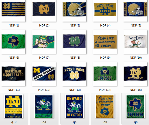 Notre Dame  House Flag圣母院大学旗帜