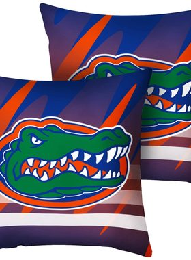 Florida Gators pillowcase 佛罗里达大学鳄鱼队抱枕套DIY抱枕