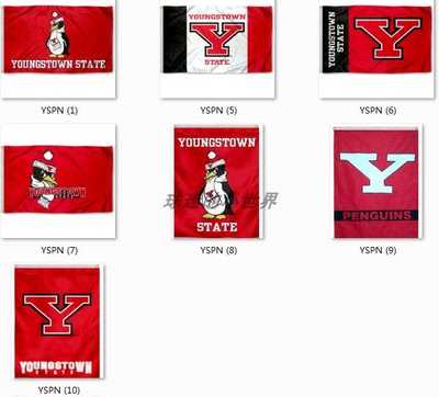 Youngstown State Penguins Flag扬斯敦州立企鹅大学球迷旗帜