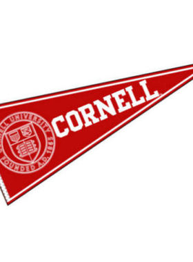 Cornell University 12x30 Flag大学名校校旗海报定制定做