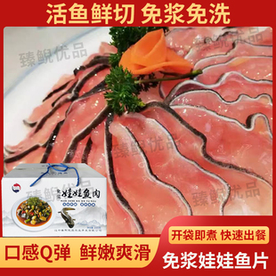 【免浆娃娃鱼分割肉礼盒套装】送礼佳品宴席菜火锅食材顺丰包邮