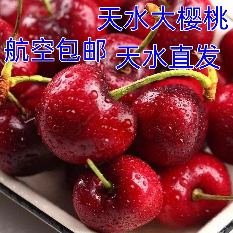 樱桃车厘子甘肃天水大果