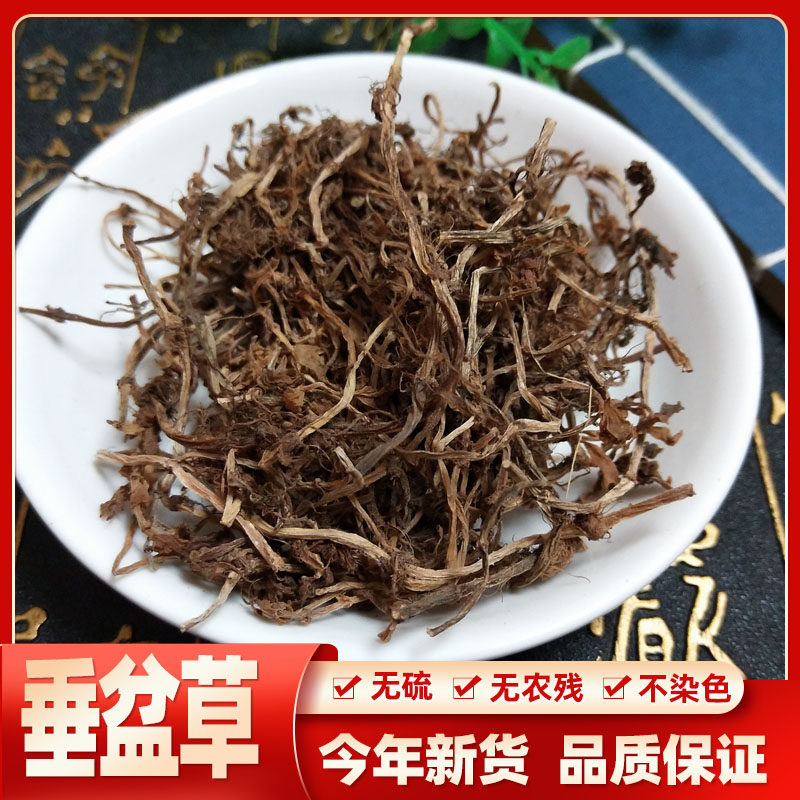 中药材野生垂盆草垂盆草植物干货瓜子草食用泡茶中草药500克包邮