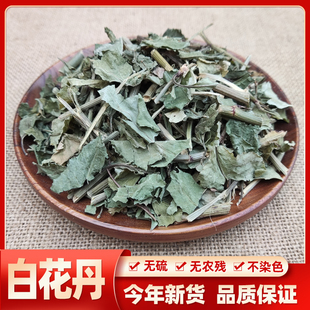 中药材白花丹 干货百花丹新品野生白雪  一见消 500g包邮