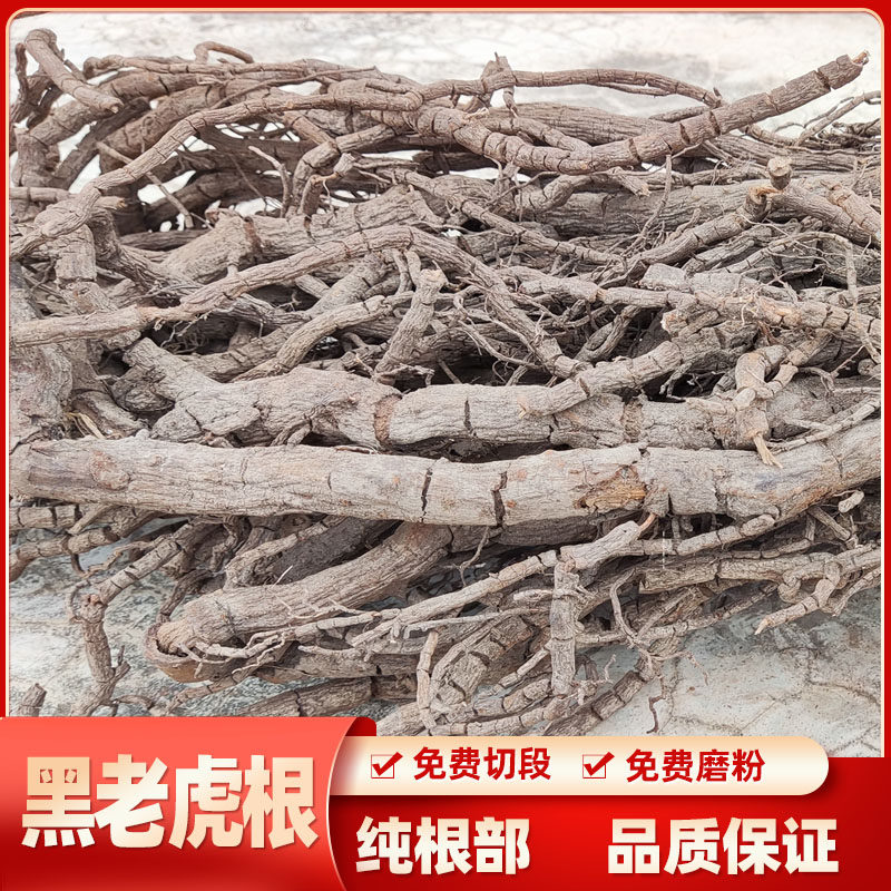 黑老虎根500g包邮野生 钻骨风 过山风风沙藤 冷饭团 钻山风中药材,传统滋补营养品,其他药食同源食品,淘宝优惠券,粉丝福利购,淘宝优惠卷