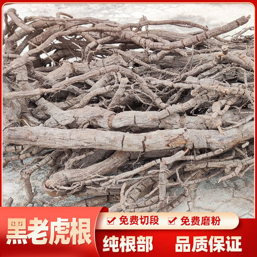 黑老虎根500g包邮野生 钻骨风 过山风风沙藤 冷饭团 钻山风中药材 - 封面