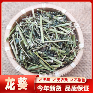 中药材野生龙葵草 广西龙葵草包邮500克乌籽菜天茄子牛酸浆乌甜菜