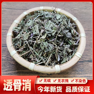 透骨消野生 连钱草 遍地香 接骨消 铜钱草 透骨风中药材500克包邮