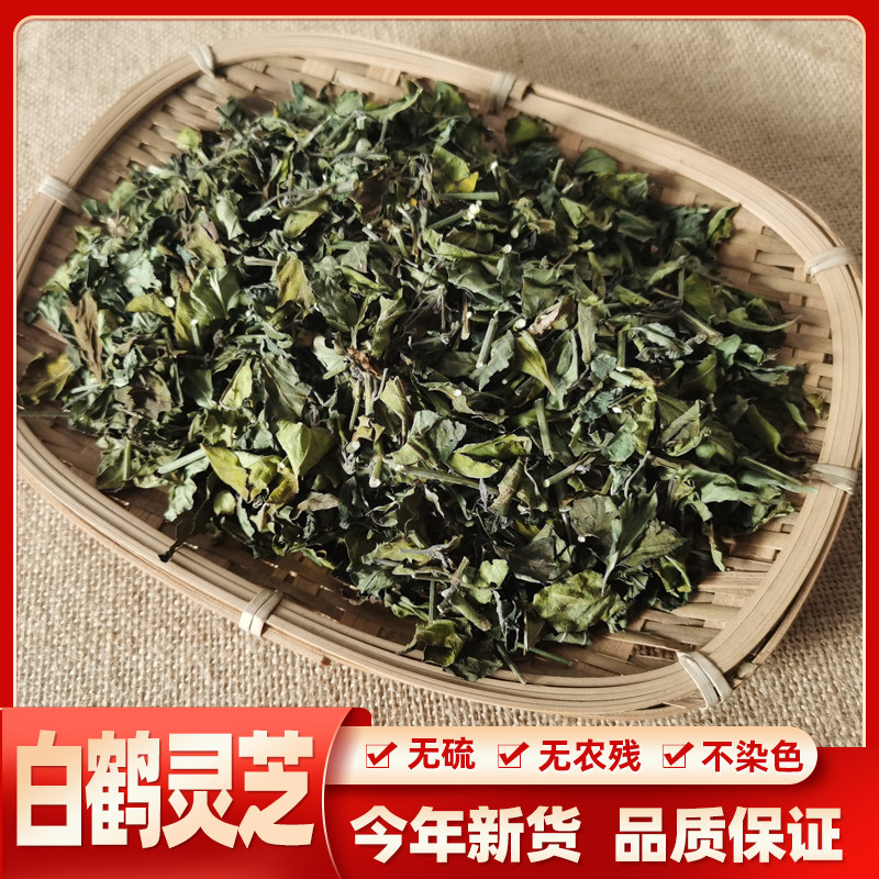 野生中草药白鹤灵芝 癣草 仙草 中药材白鹤灵芝草  500克包邮