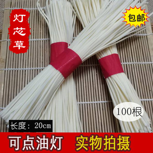 中药材 野生灯芯草 灯草枕头 供佛 虎须草 赤须20cm100根