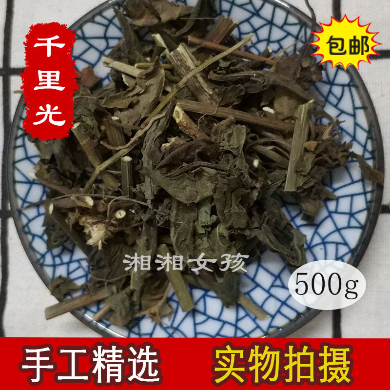 野生 千里光 中药材中草药 小孩洗澡泡澡 九里光 黄花母500克包邮