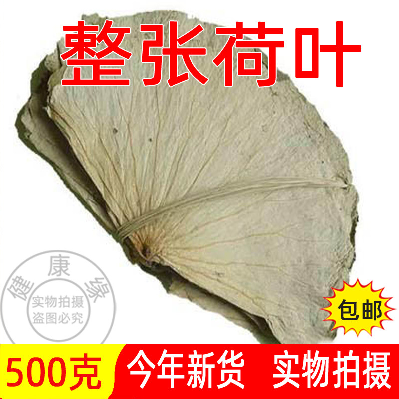 荷叶500g克整张干荷叶大片叫花鸡专用新鲜冬瓜茶包饭糯米鸡中药材