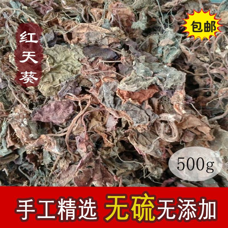 野生紫背天葵 中药材 散血子 夜渡红 红天葵 500克干品