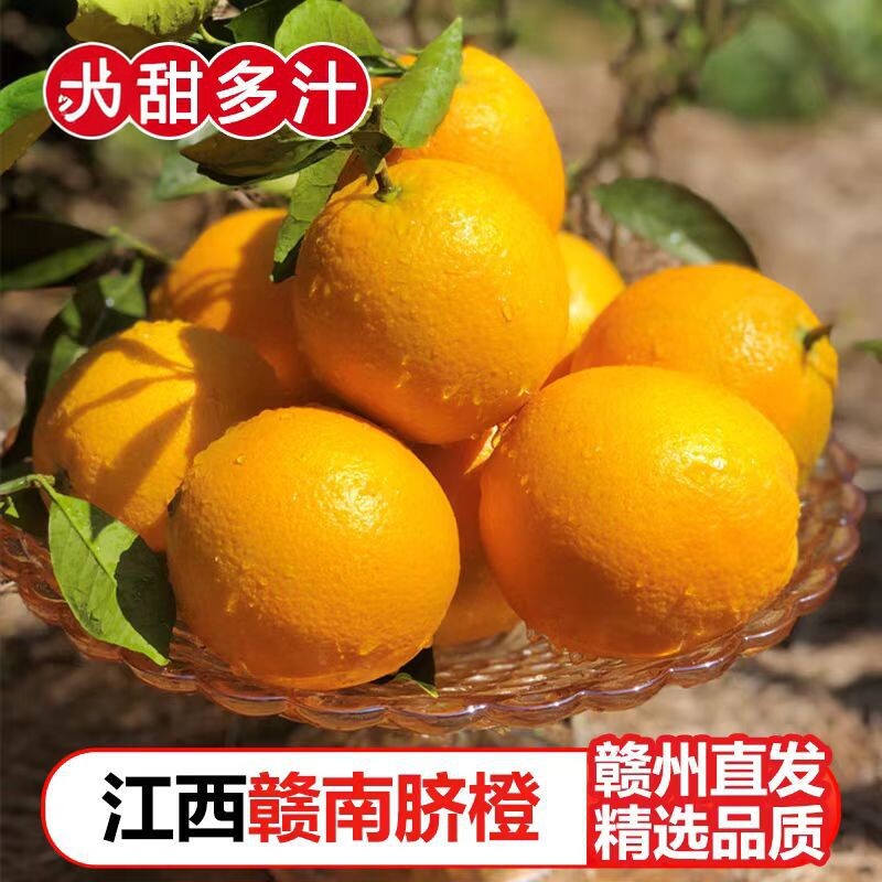 正宗江西赣州赣南脐橙新鲜水果9斤产地直发当季整箱手剥橙子现摘