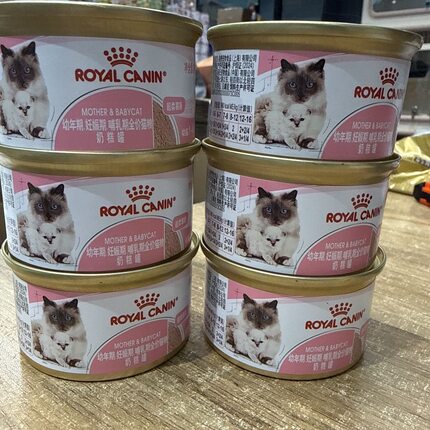 新品皇家离乳期妊娠期哺乳期全价猫粮奶糕罐