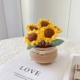 Подсолнечный горшечный готовый продукт