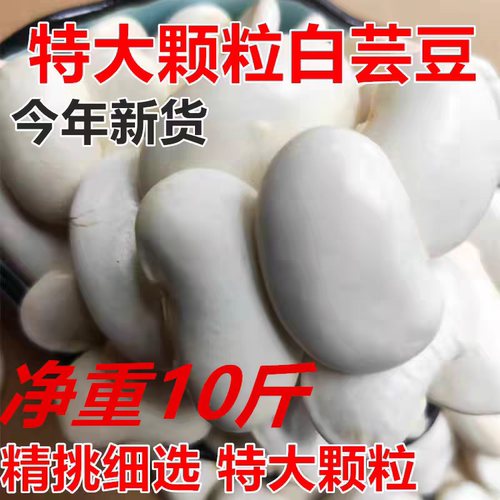 云南特产特大颗粒白芸豆5斤扁豆农家自产配红芸豆红腰豆煲汤原料