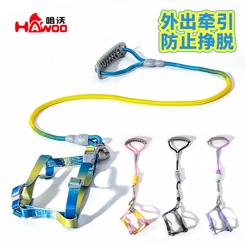 Z宠物工字牵引绳大型猫专用七彩渐变色牵引圆绳户外防勒遛猫绳批