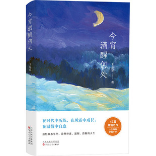 今宵酒醒何处 百花文艺出版社 王东京 著