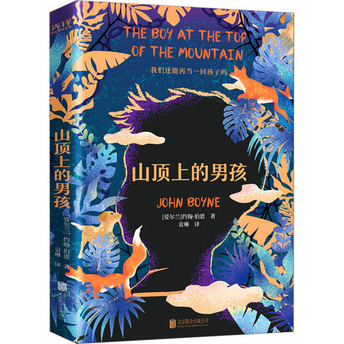山顶上的男孩 北京联合出版公司