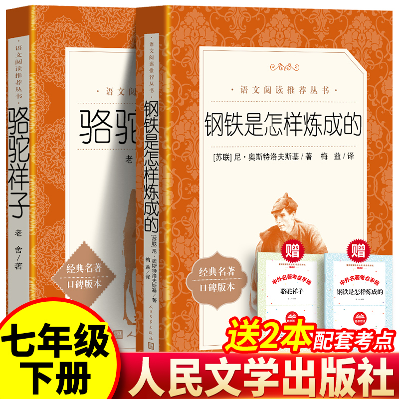 钢铁是怎样炼成的人民文学