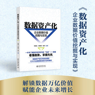 数据资产化：企业数据价值挖掘与实现(一本书了解数字经济时代的