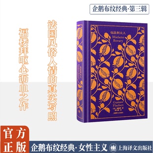 包法利夫人 上海译文出版社 (法)福楼拜 著 周克希 译