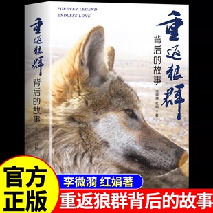 重返狼群正版书籍 重返狼群背后的故事 李微漪红娟著 南海出版社 千里寻你让我陪你重返狼群书完整版原版1 2再见格林带你回归返回
