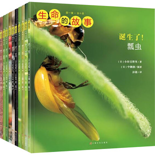 生命的故事(第1辑)(新版)(全10册) 上海文化出版社 (日)小杉美野里 著 彭懿  译 科普百科