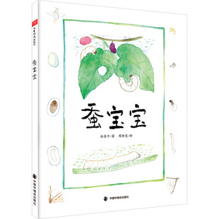 蚕宝宝 中国中福会出版社 尚昌平 著 周雅雯 绘 蚕宝宝的一生。 绘本/图画书/少儿动漫书