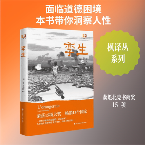 孪生 海天出版社