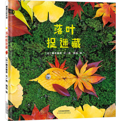 落叶捉迷藏 天津人民美术出版社 (日)藤本智彦 著 周迅 译 绘本/图画书/少儿动漫书