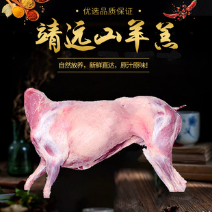 靖远羊羔肉18斤新鲜整只山区散养土滩羊羔山羊羔肉烧烤全羊肉羊排