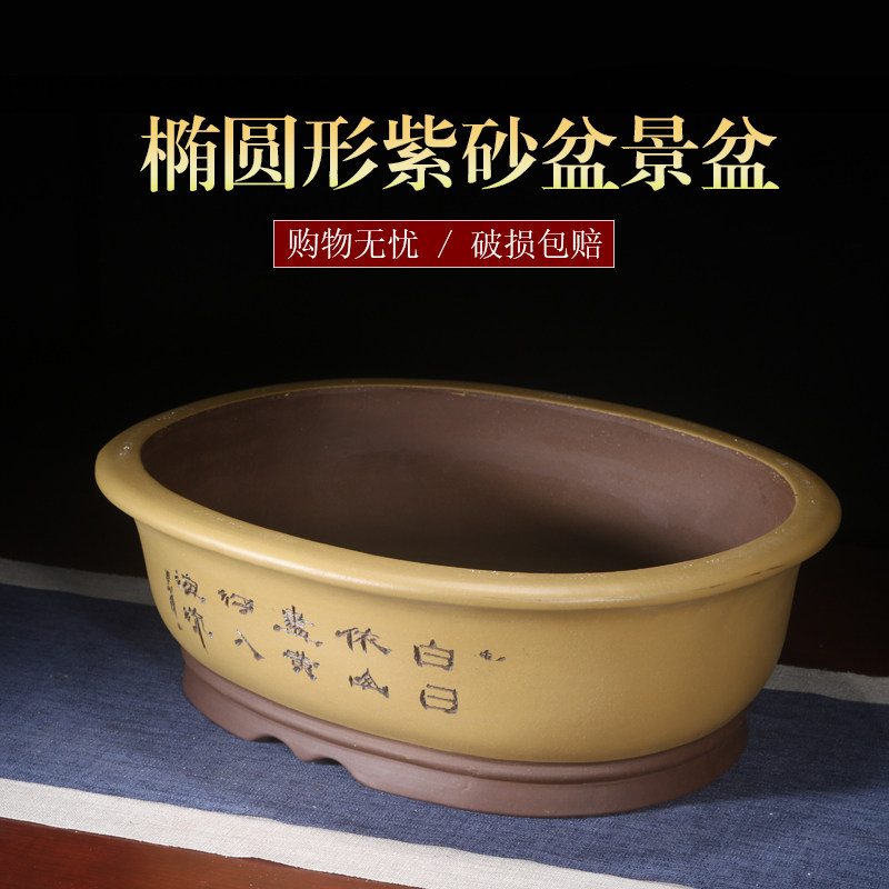 紫砂花盆椭圆形盆景盆多肉植物拼盘老桩丛林组合文竹陶瓷透气花盆,鲜花速递/花卉仿真/绿植园艺,花盆,淘宝优惠券,粉丝福利购,淘宝优惠卷