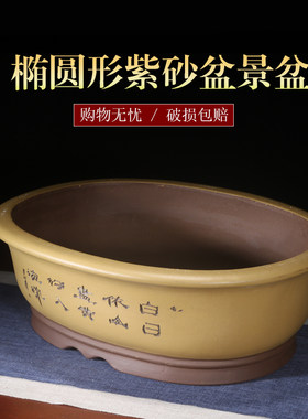紫砂花盆透气养根简约源头厂家