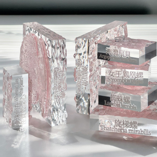 3.15晚9:30 | SHIBOKA 原创手帐印章*海颂vol.1*贝壳海螺珍珠沙滩