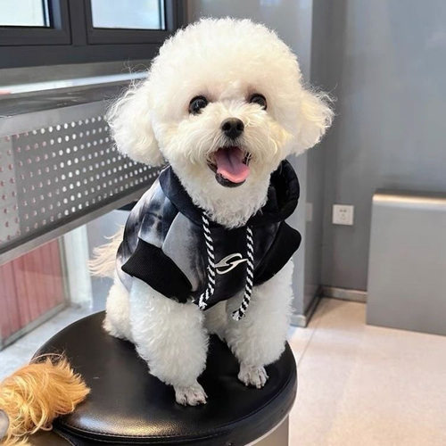 春夏款宠物狗狗衣服连帽卫衣渐变色马尔济斯比熊泰迪猫咪薄款帅气