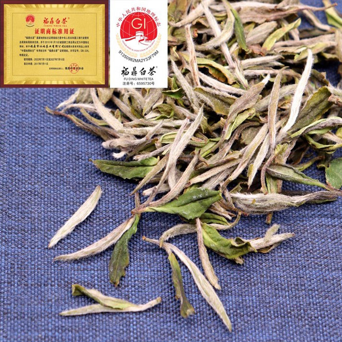 2025新茶春牡丹王特级白牡丹散茶福鼎白茶磻溪茶厂3斤5斤