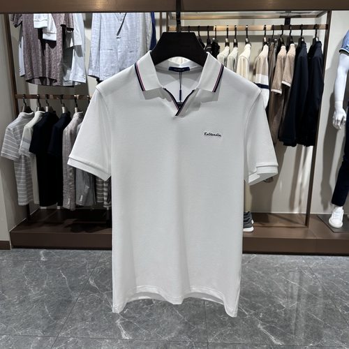 卡尔丹顿男装春夏款休闲翻领短袖T恤Polo衫AD5S00106吊牌1980