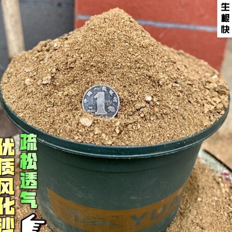 盆景专用土风化砂天然优质营养土绿植盆栽植物通用